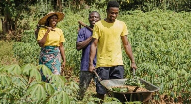 ActionAid mobilise les médias ouest-africains pour un plaidoyer sur la transition agroécologique