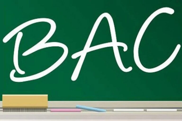 BAC 1: proclamation des résultats, voici le code de consultation