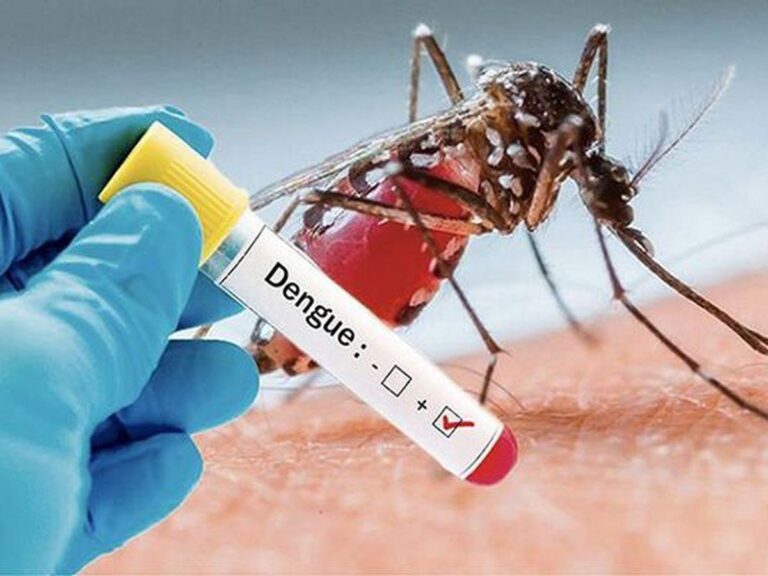 Dengue : Deux décès enregistrés au Togo