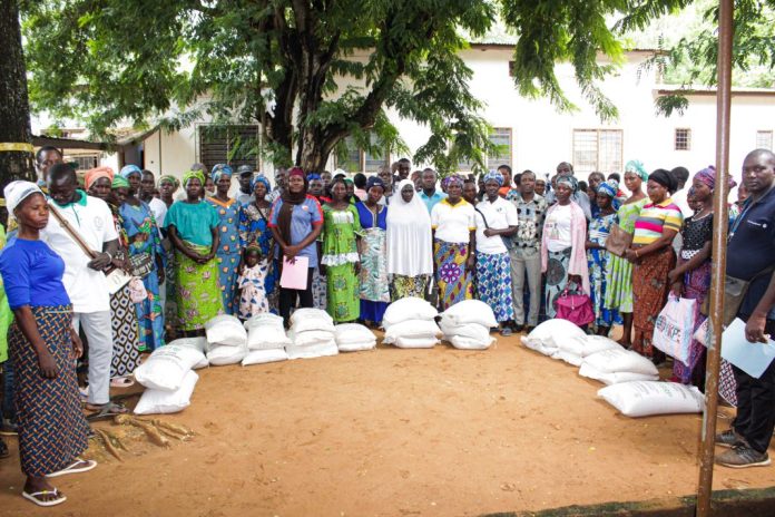 Distribution de Semences Certifiées et d’Engrais à Kara, Togo