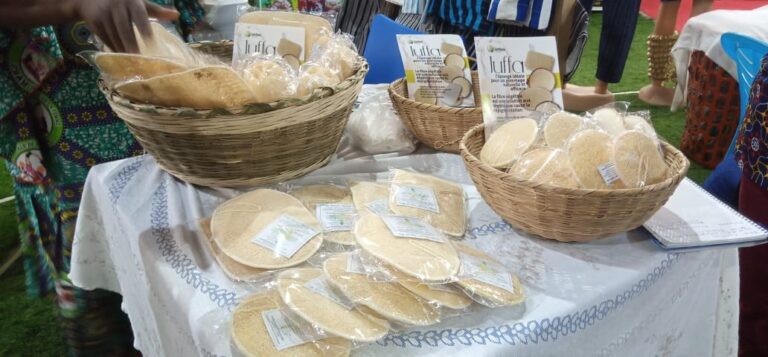 Éponges végétales : les merveilles naturelles à découvrir chez Amaou-Talle Essodezan à la Foire Made in Togo