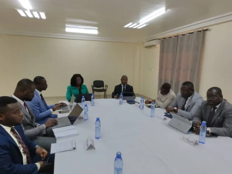 Le bilan du ministère des affaires étrangères présenté au CPES