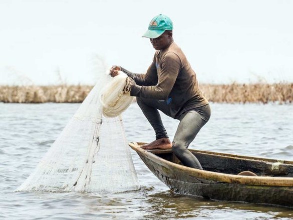 La pêche suspendue sur le Lac Nangbéto