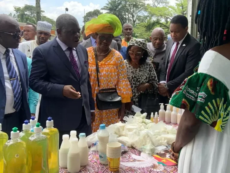 Le premier Festival international du manioc lancé au Cameroun