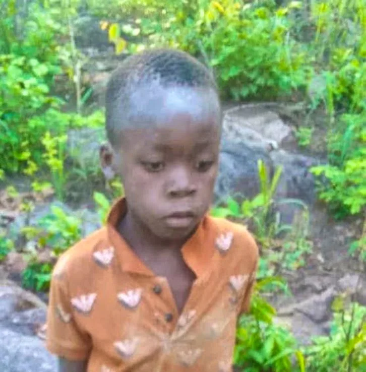 Zimbabwe : à 8 ans, il survit miraculeusement cinq jours dans une réserve peuplée de lions