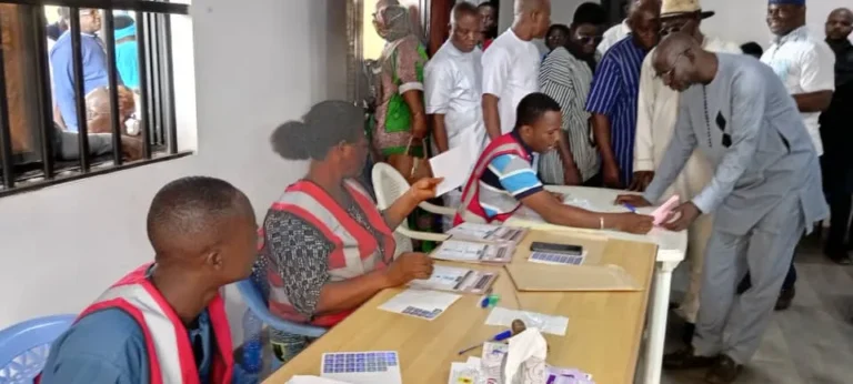 Togo : les premières élections sénatoriales sous la nouvelle Constitution se sont bien passées