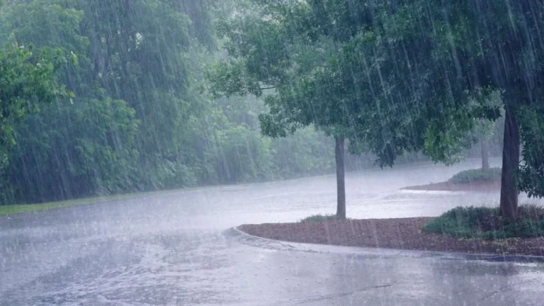 Saison des pluies 2025 au Togo : Prévisions contrastées et enjeux pour l’agriculture