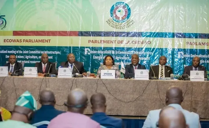 Transport aérien en Afrique de l’Ouest : la CEDEAO en conclave à Lomé pour faire baisser le prix des billets d’avion
