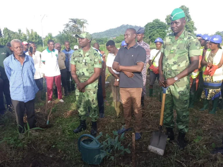 Agou : Lancement de la campagne nationale de reboisement