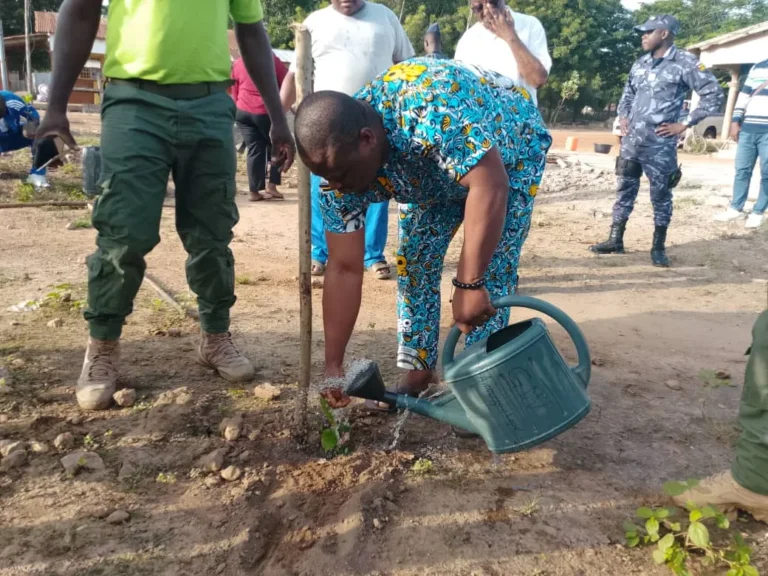 Agou2 : Journée nationale de l’arbre : le Conseiller Abotsi koffi têtê s’engage