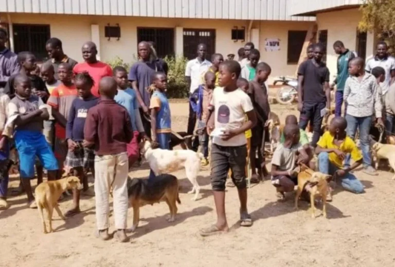 Togo : une campagne nationale de vaccination animale lancée
