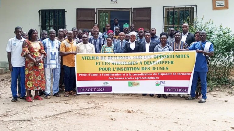 Insertion des jeunes agroécologues : le foncier au cœur d’un atelier stratégique à Sokodé