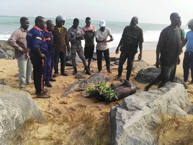 Kpémé : un homme retrouvé mort sous les rochers du wharf