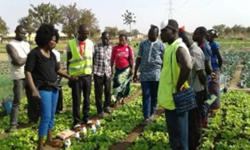 L’ITRA ouvre les candidatures pour la 2ᵉ cohorte de son programme de formation agricole