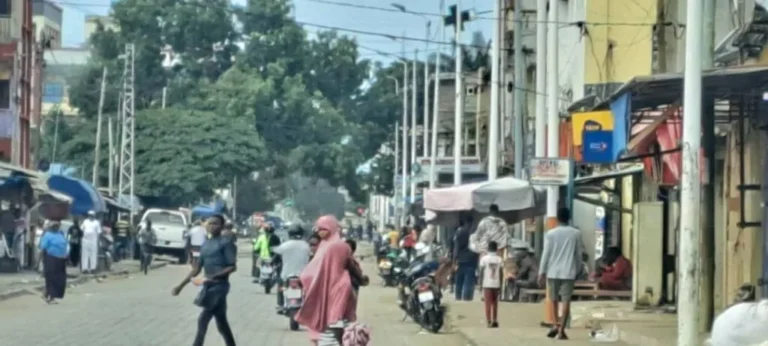 Togo / Appel à la marche du 30 août : la population indifférente face aux activistes virtuels