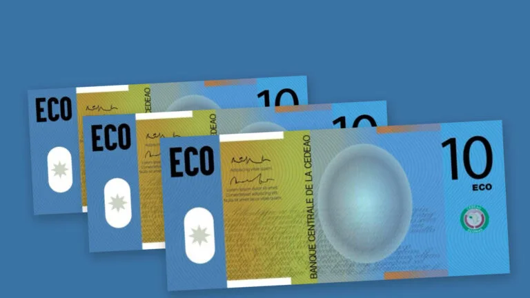 Monnaie unique de la CEDEAO : l’Eco fixée pour 2027, entre espoirs et incertitudes