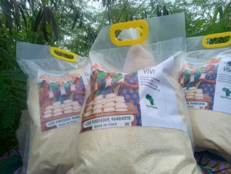 Yoto 2: La Mairie appuie « AgriAnswer » pour la valorisation du manioc en produits bio