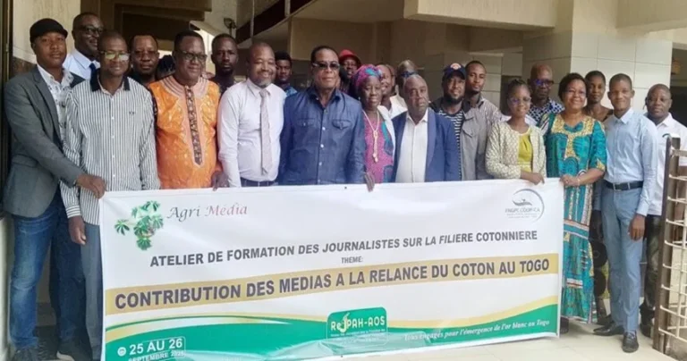 Togo : les médias appelés à la rescousse pour relancer la filière coton en difficulté