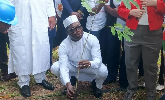 Le Système des Nations Unies au Togo s’engage dans une opération de reboisement à Aného