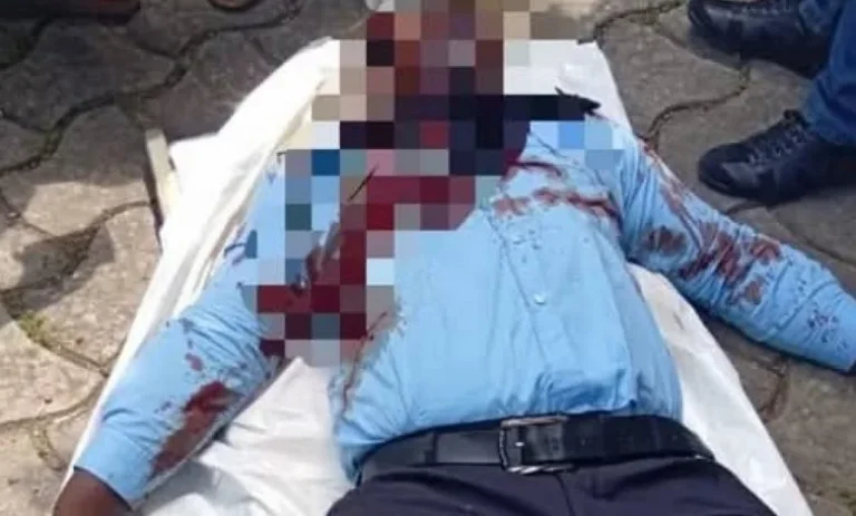 Des tueries suspectes à Danyi Apeyeyeme : le Mouvement Martin Luther King interpelle les autorités