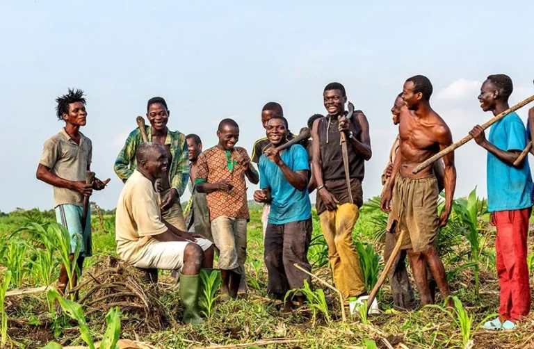 Jeunesse et agriculture au Togo : un levier stratégique pour la sécurité alimentaire et le développement durable