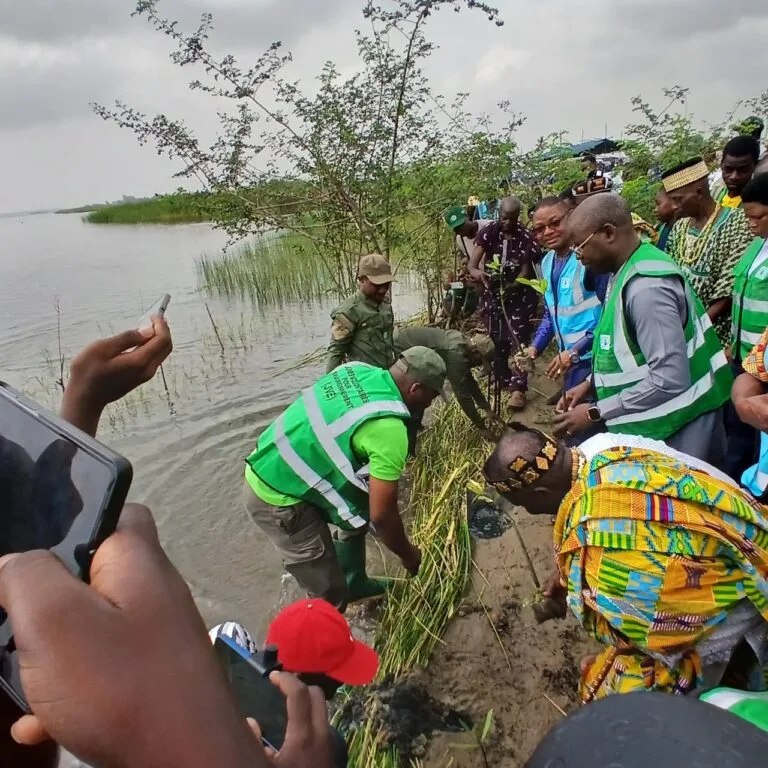 JVE restaure les mangroves à Abobo Kpoguédé et célèbre 25 ans d’engagement pour l’environnement