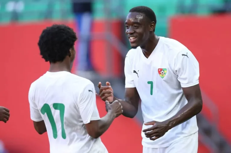 Match amical : les Éperviers s’imposent face au Niger