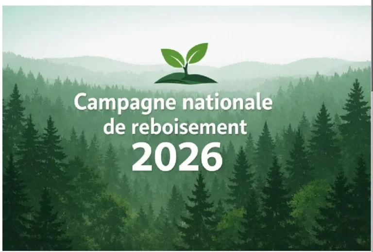 Reboisement 2026: le Togo se mobilise pour bâtir un avenir plus vert