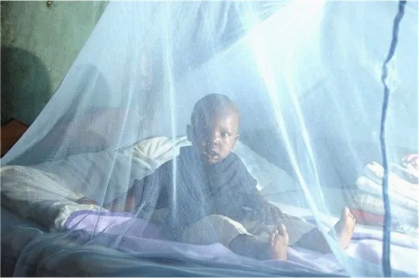 Togo : une campagne nationale de distribution gratuite de moustiquaires