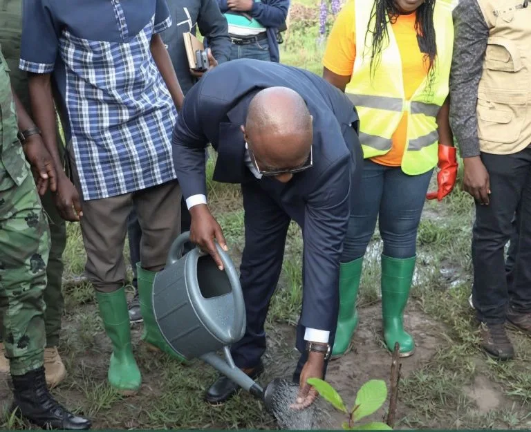 49e Journée nationale de l’Arbre : le Togo opte pour un objectif de 16,8 millions de plants