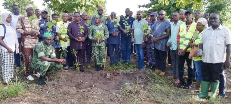 Journée nationale de l’Arbre : l’ADIA s’engage pour un Agou plus vert
