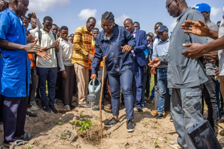 Journée nationale de l’arbre 2026 : l’Université de Kara mobilisée pour un campus plus vert